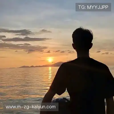 韶诚洁